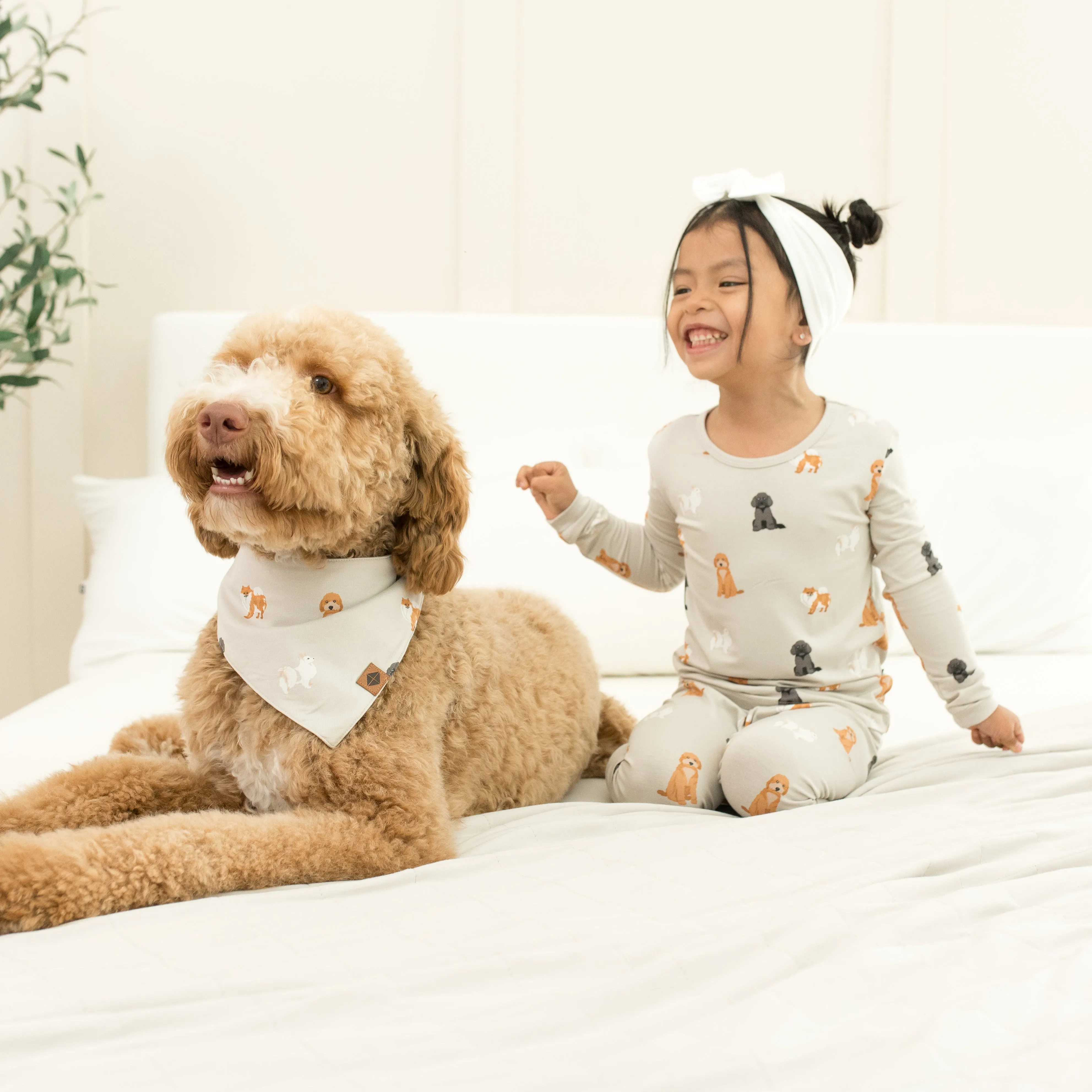 Long Sleeve Pajamas in Fluffy Dog
